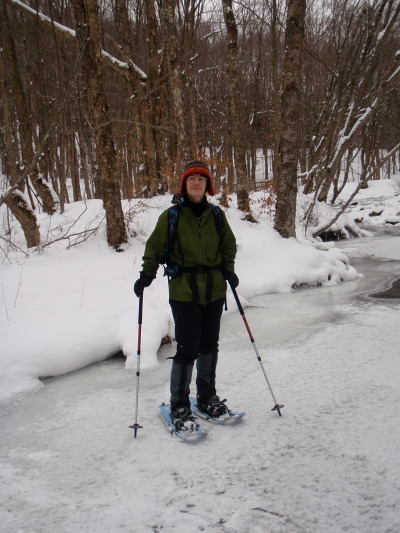 Poles used on snowshoeing trip in ice.